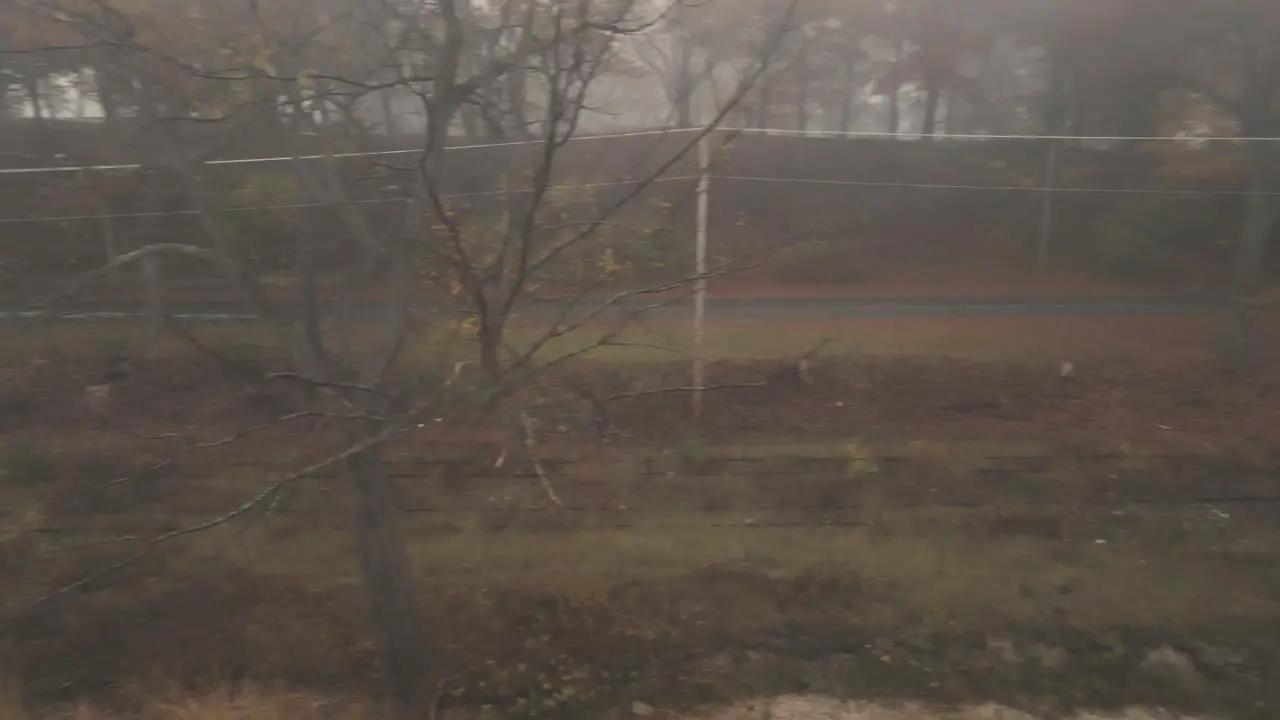 A rusty railroad in a foggy area off of the Lakeshore