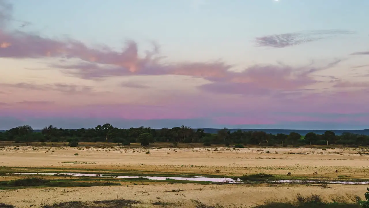 Timelpase of wild animals in Kruger National Park South Africa