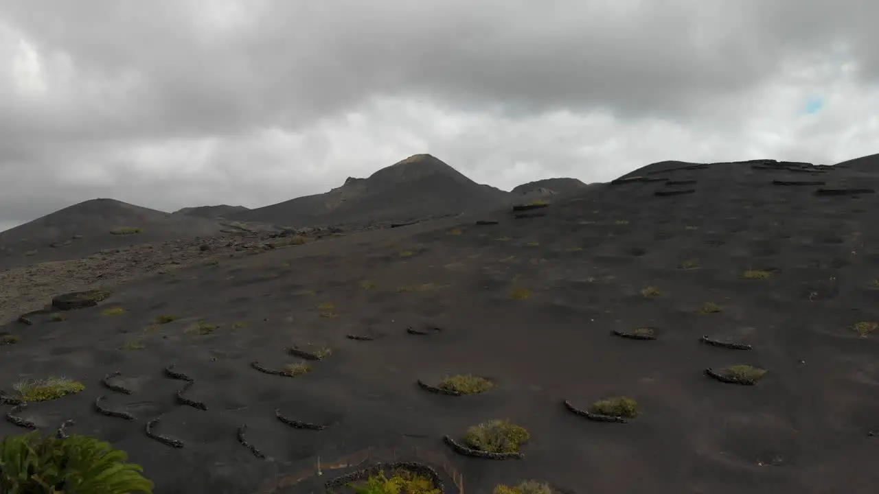 Flying over a volcanic hill where plants protected by ditches and half circular structures