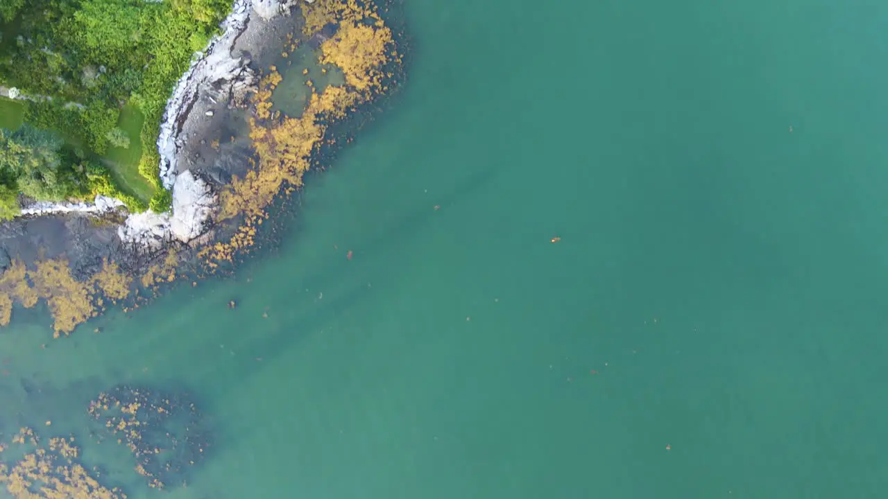 Deep Blue Water and Green Coastline in Penobscot Bay Maine | Top Down Aerial View | Summer 2021