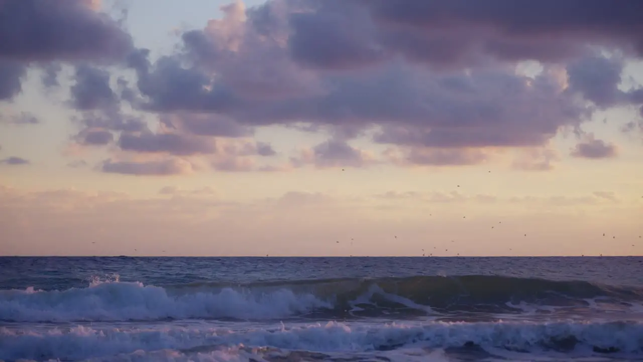 Ocean waves with dramatic sky and birds flying on the background