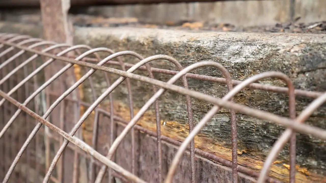 Grungy vintage weathered wooden textured timber and rusted steel mesh cage dolly right