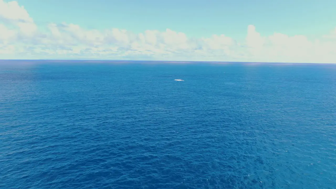 drone rising and panning across deep blue ocean on a sunny day as humpback whale breaches in the distance