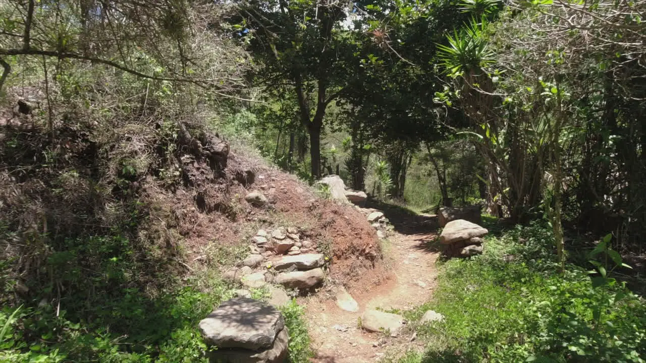 POV walking on narrow trail in tropical rainforest in Central America