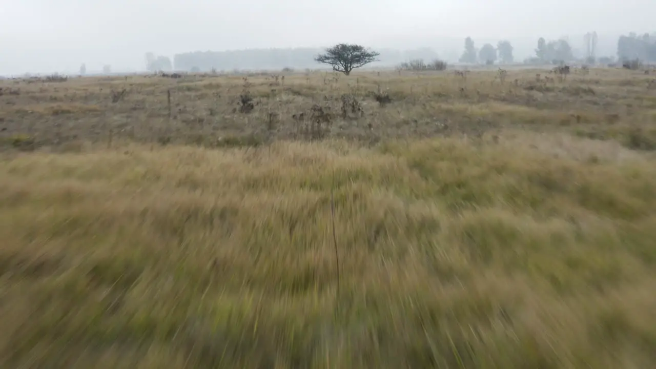 Grassy moorland on a foggy autumn day Czechia countryside fast aerial