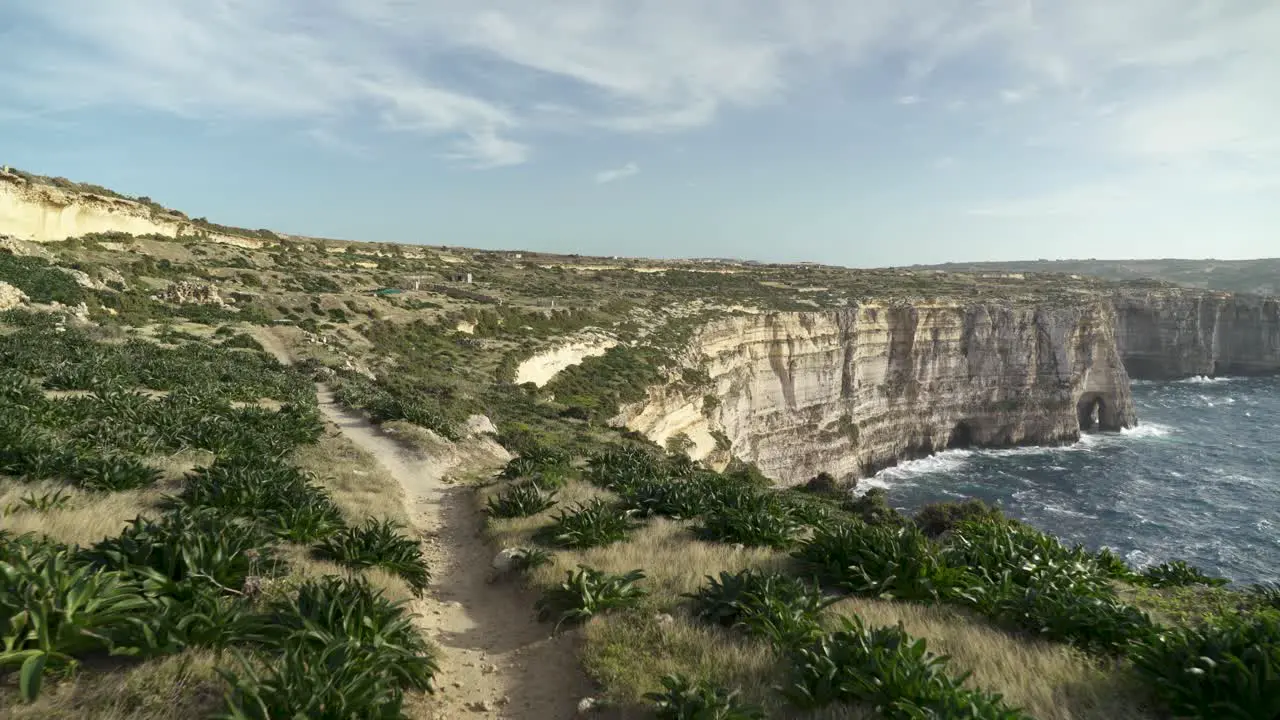 Plants Growing on Cliffs of Flo Azure Window near Mediterranean Sea in Malta