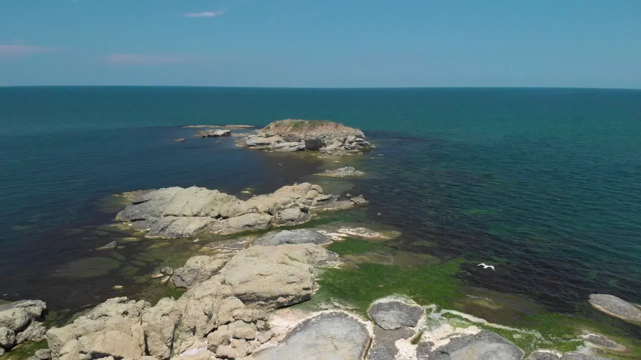 Aerial drone shot of big cliffs in the sea with vegetation and birds