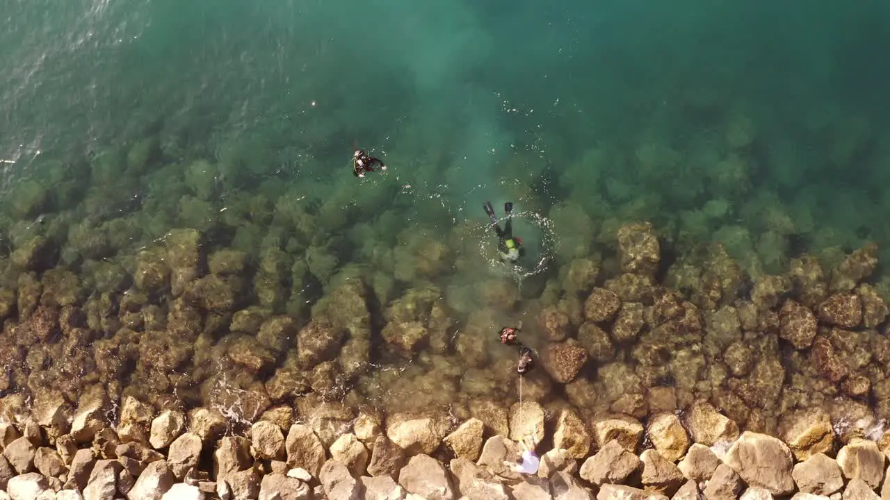 Excellent view of the diver off the coast