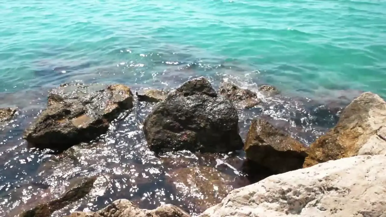 On a rocky shore of the sea