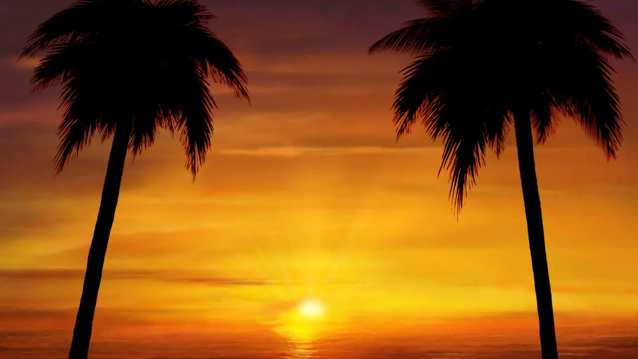 Puesta de sol de palmera