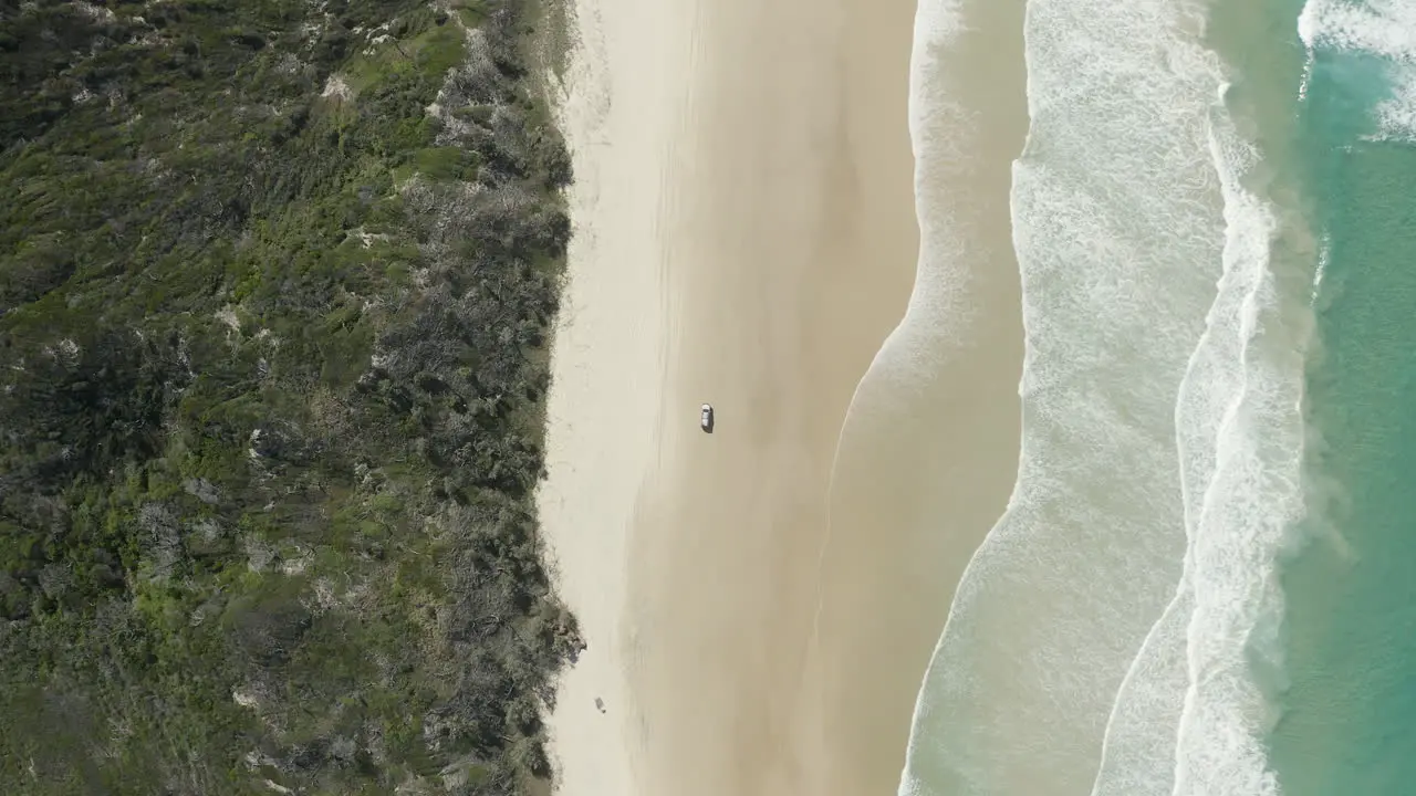 4k drone top view of a car driving along the beautiful beach on Fraser Island Australia