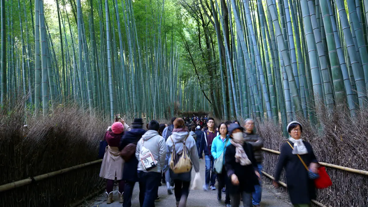 timelapse crowd people at Arashiyama Bamboo Forest in Japan