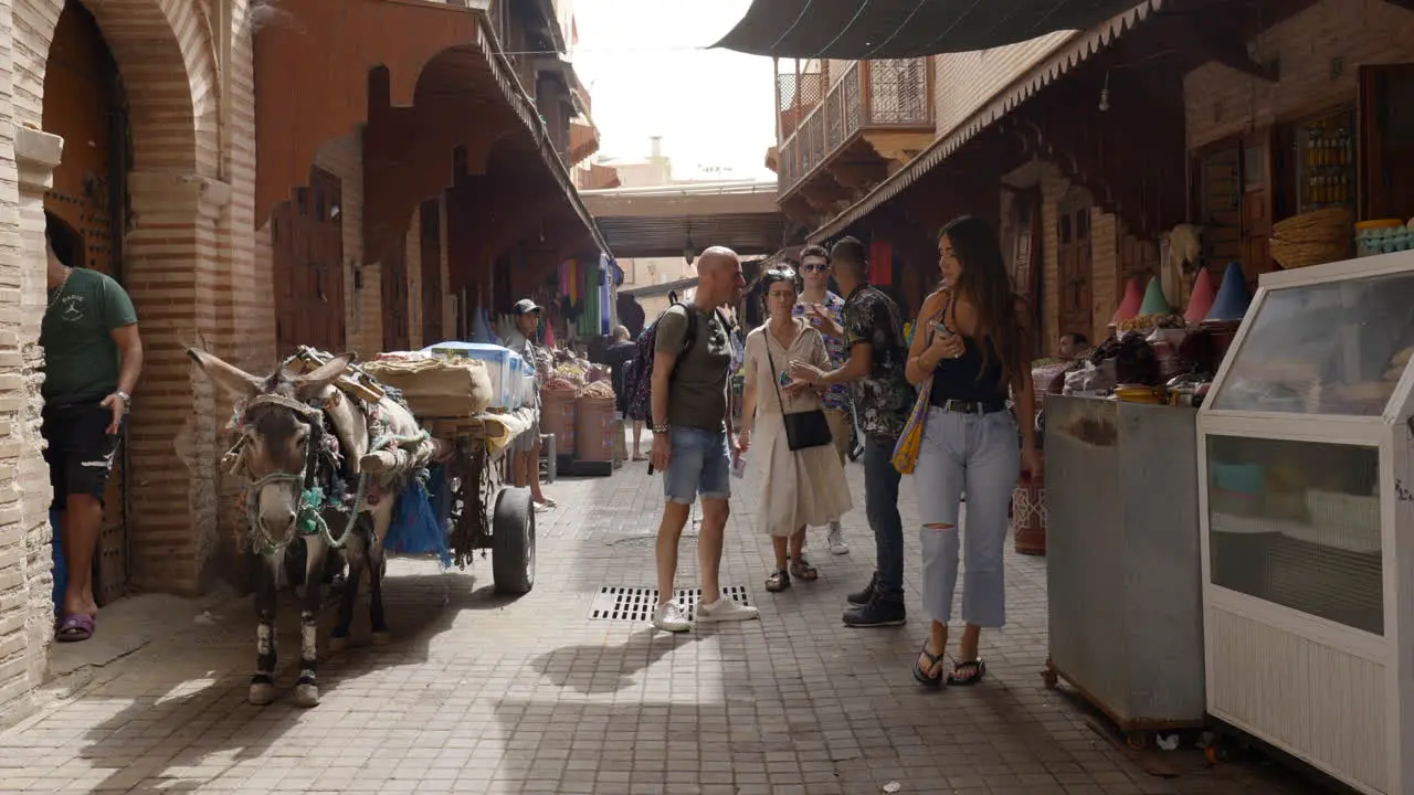 working mule waits as people shop the street markets in Marrakesh