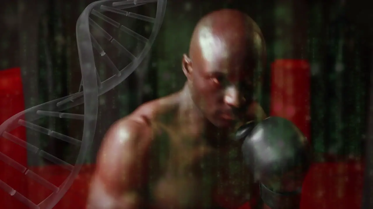 Animation of data processing and dna strand over man boxing