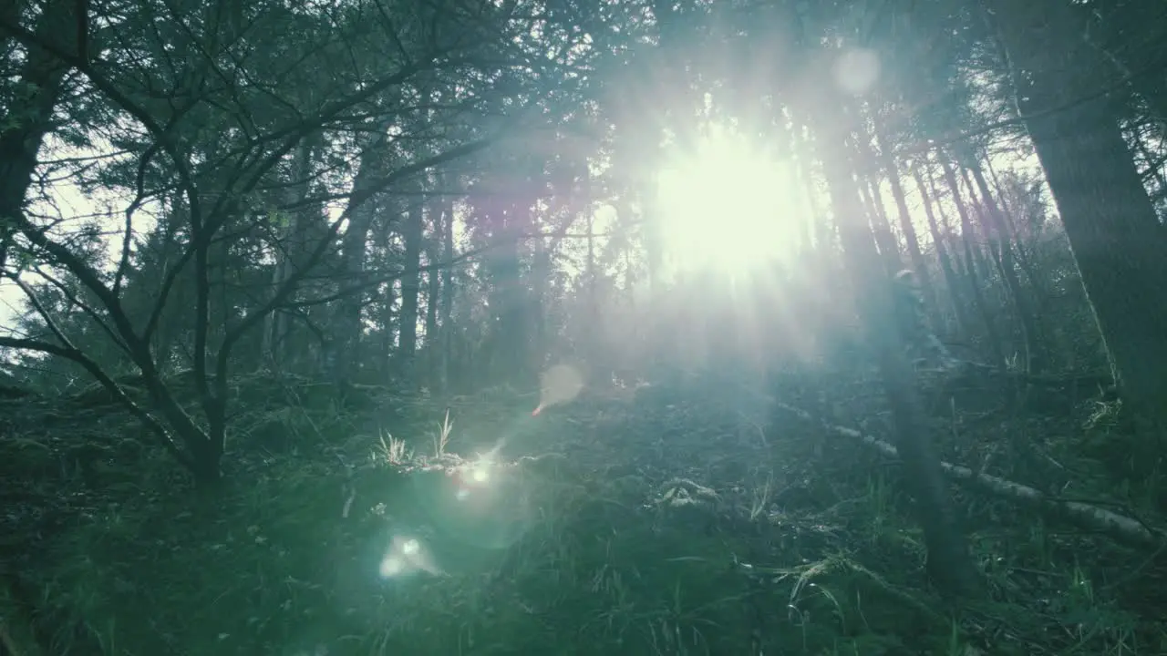 Cycling past ridge within forest sun flare