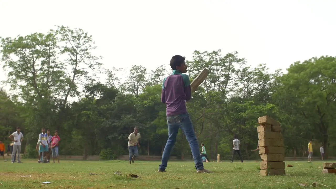 Game of Cricket in an Indian Park