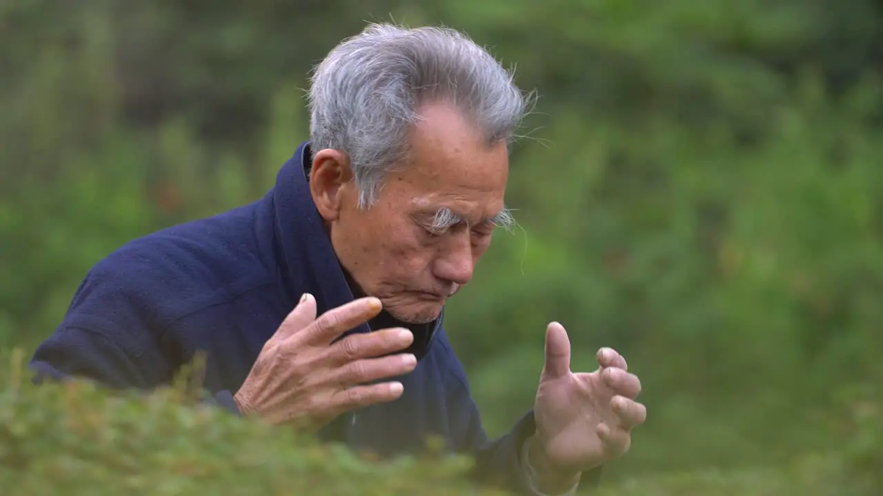 Elderly Man Performing Tai Chi