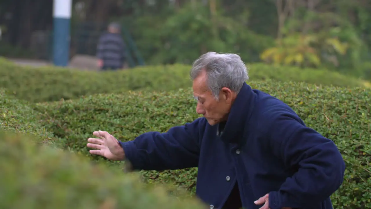 Man Performing Tai Chi in Hong Kong Park