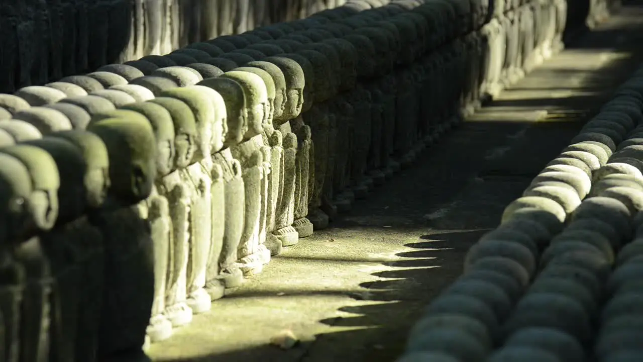 Slowly focusing on endless rows of Jizo stones statues iluminated by soft morning light and shadows