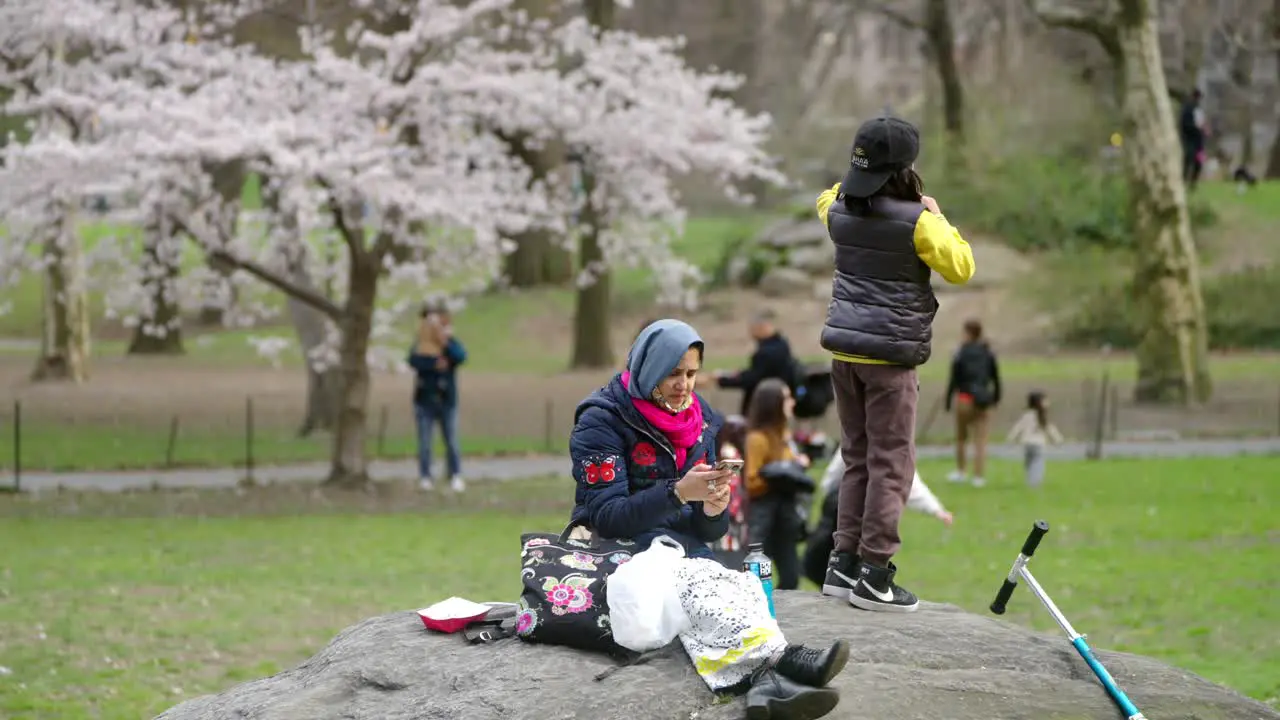 Mother and son relax on rock in New York Central Park in Spring time with cherry blossoms in background