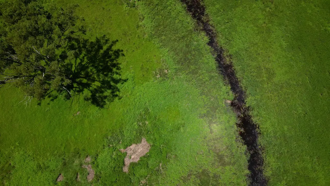 Rising top down aerial over Mudgeeraba creek and green space Gold Coast Queensland Australia