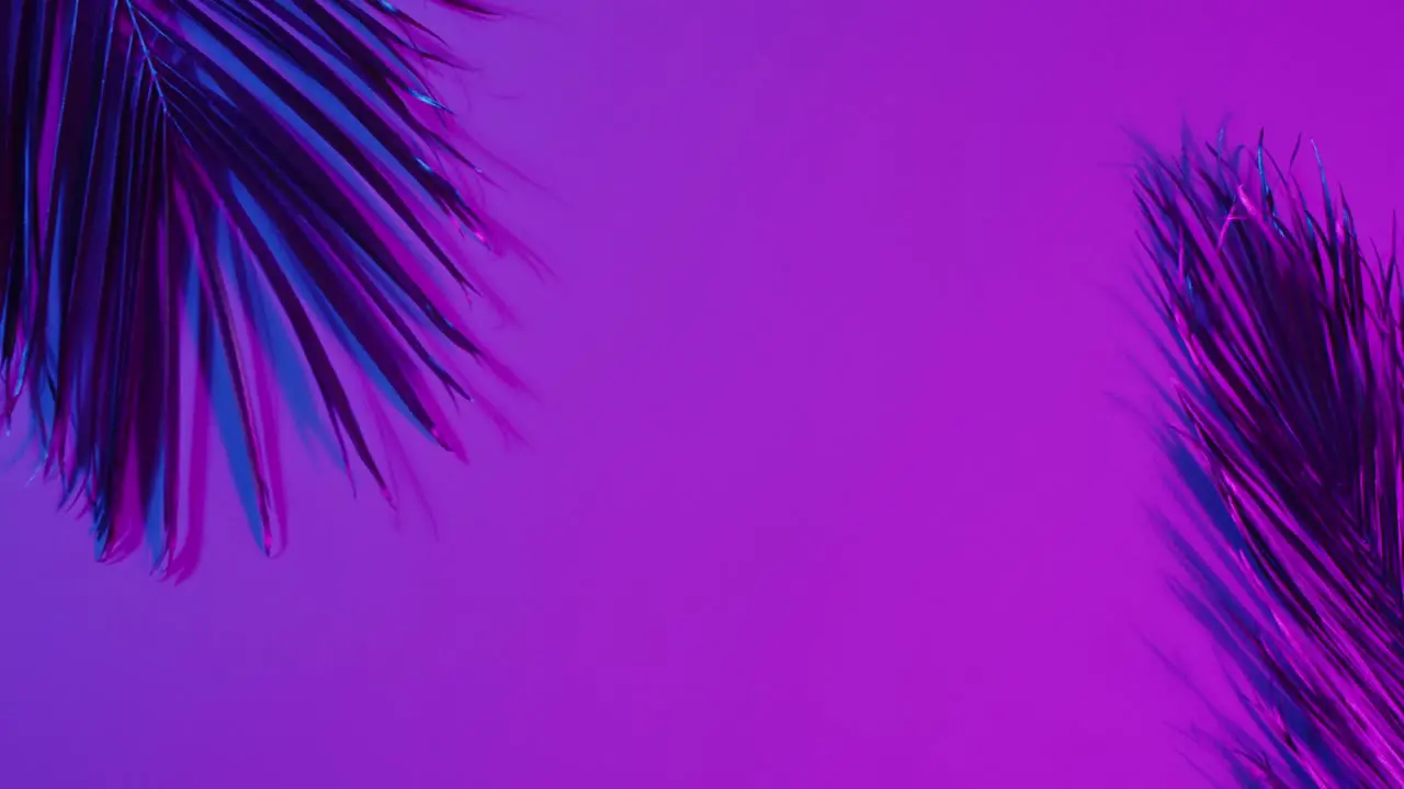 Animation of green lush leaves over purple background with copy space