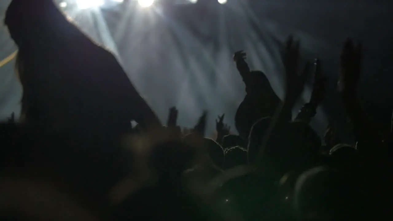 Musical fans having good time on the concert