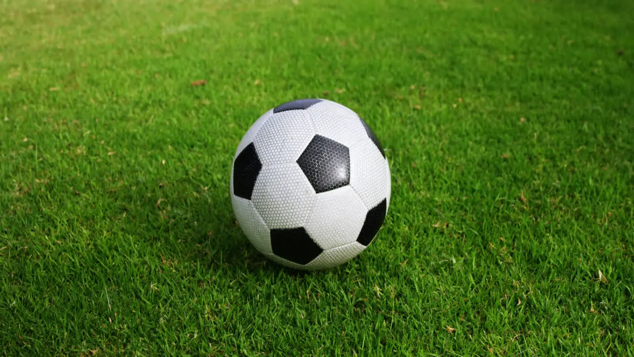 Soccer ball on green grass