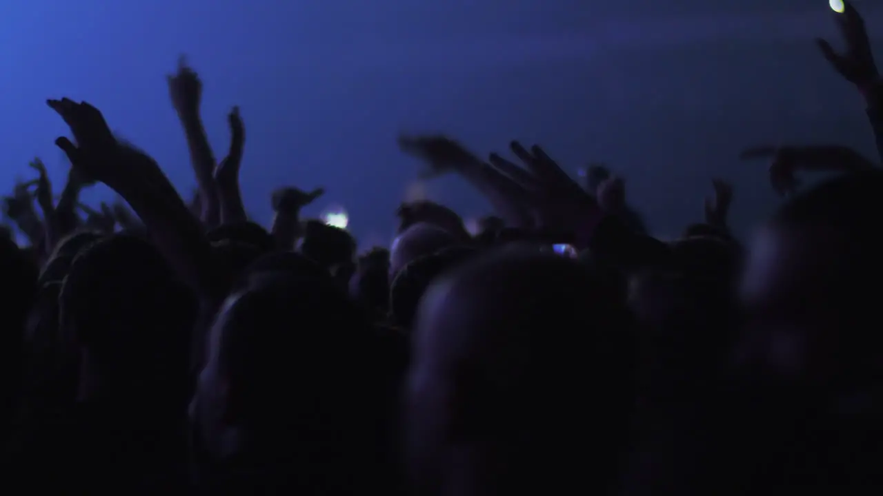 Dancing audience at the concert