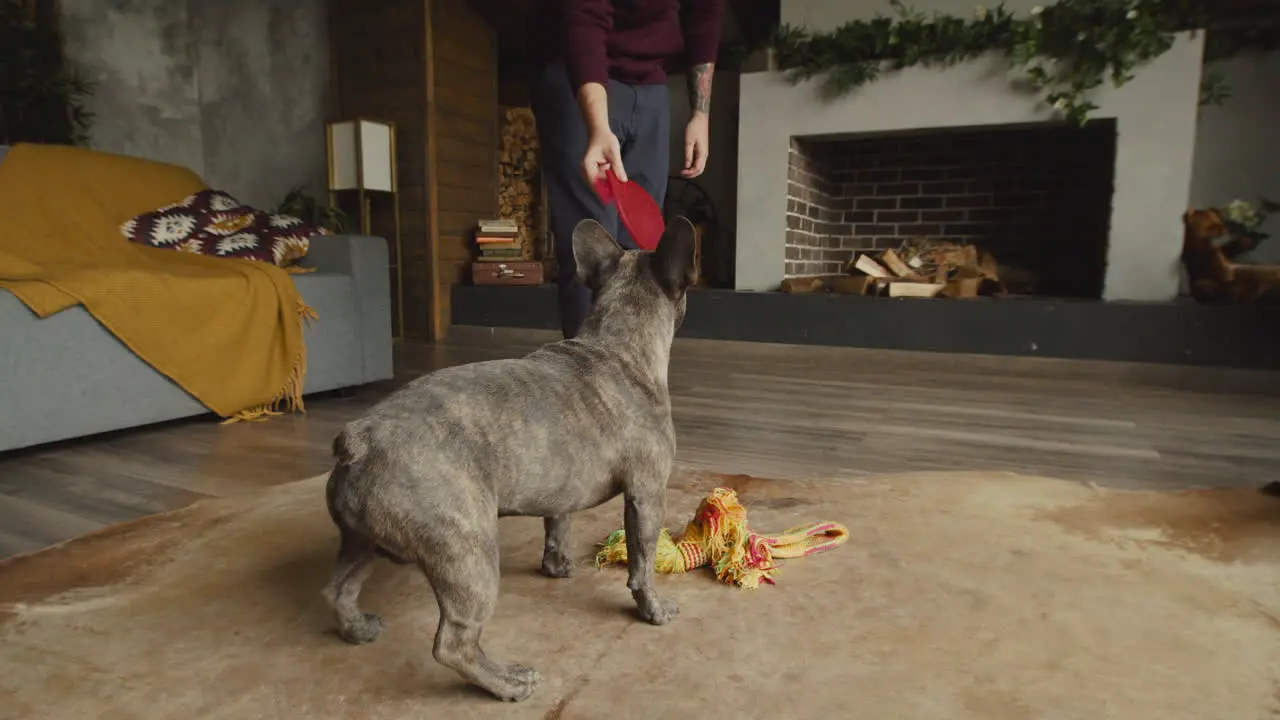 Mann Steht Beim Spielen Mit Ihrem Hund Im Wohnzimmer Zu Hause 2