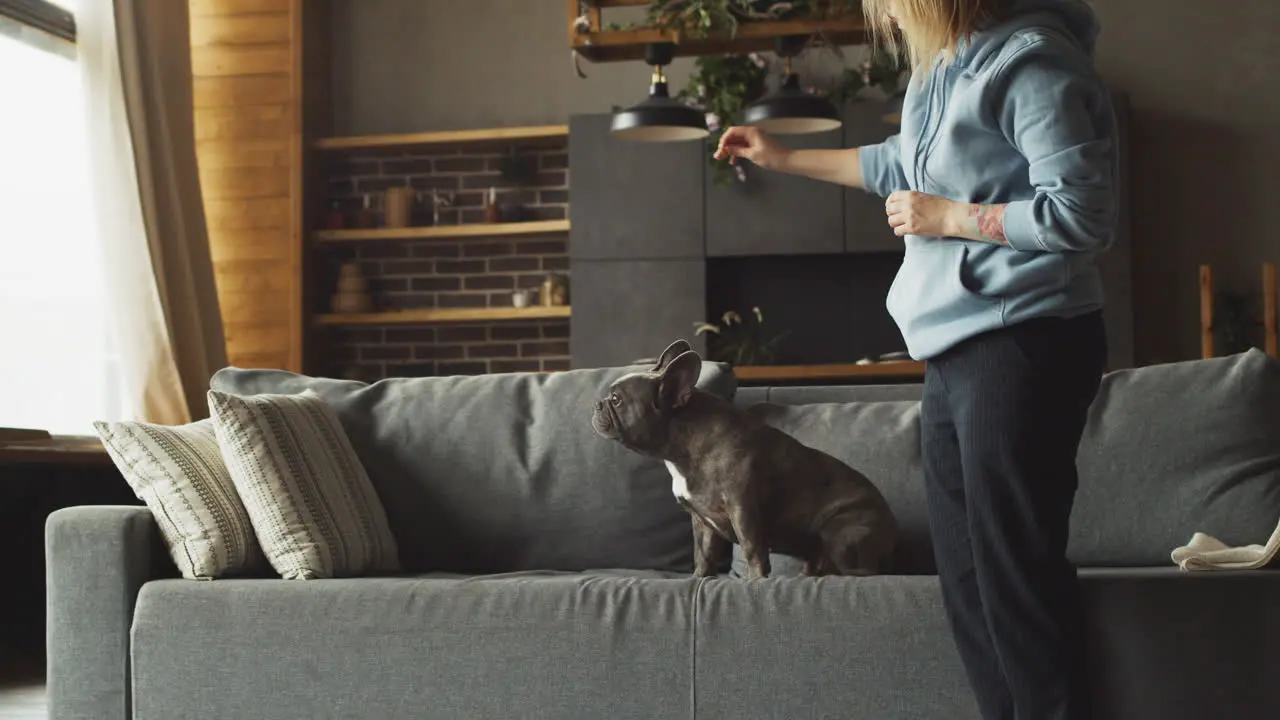 Rothaarige Frau Die Steht Während Sie Ihrem Hund Auf Dem Sofa Im Wohnzimmer Zu Hause Leckereien Gibt 1