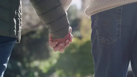 Cariñoso Cariñoso Y Una Pareja Tomados De La Mano