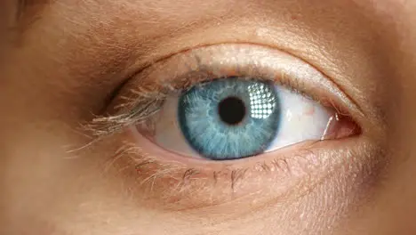 Ojo Visión Y Salud Con Los Ojos De Una Mujer