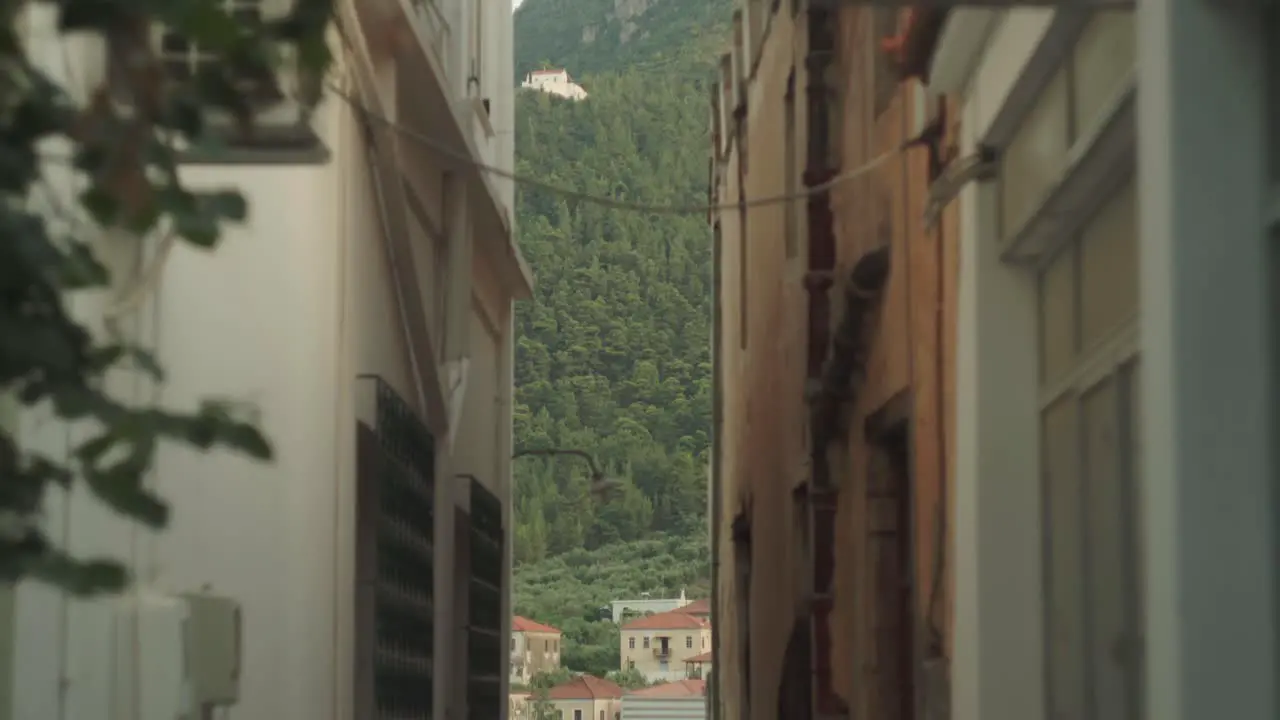 Mediterranean forest framed by old brown and off white buildings of Leonidio Greece