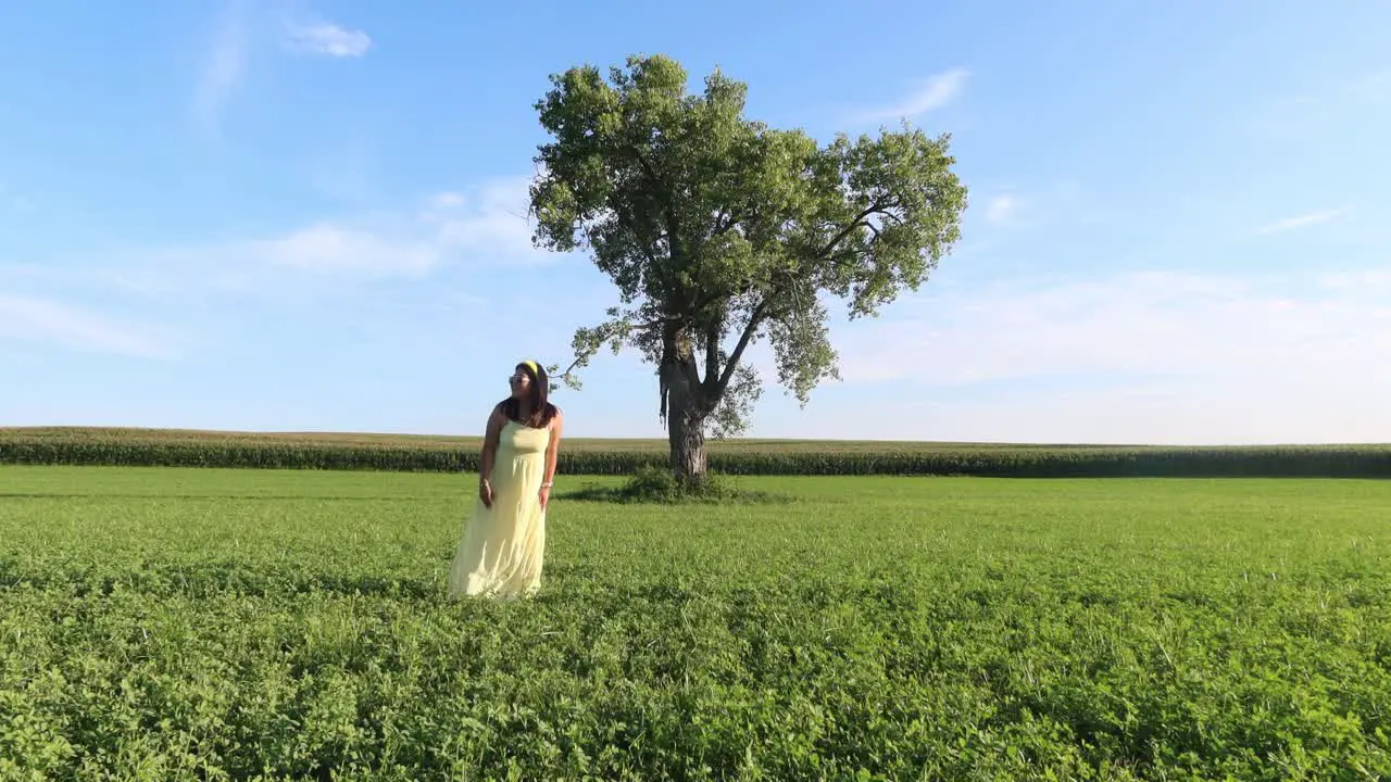 woman with a lovely yellow dress stading outdoors next to a lonely three cinematic scene in minnesota on a sunny day