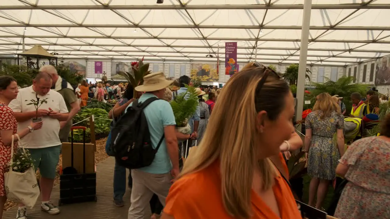 People carrying plants they bought at the chelsea flower show