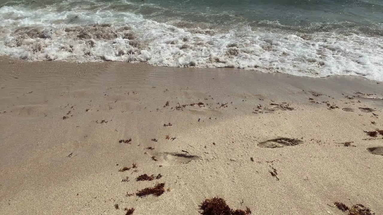 people walking in water on the beach