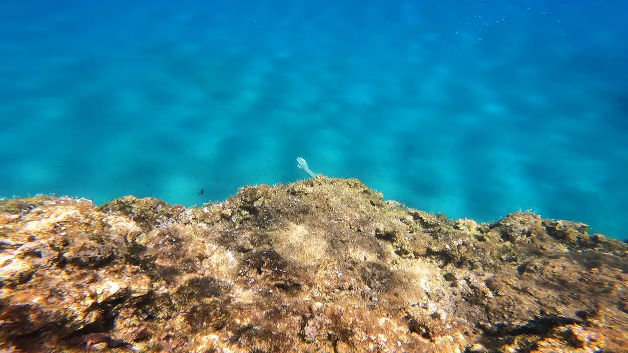 A young scuba diver swims to the bottom