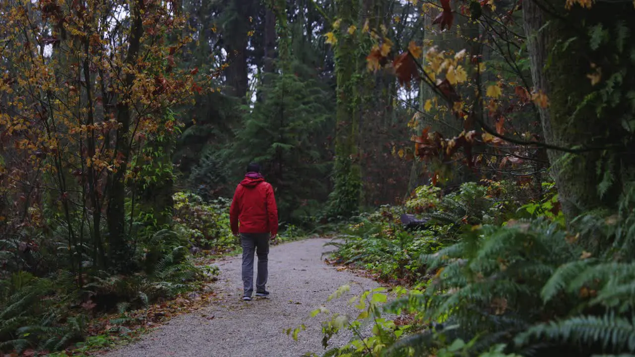 person with a red jacket walking in stanley park on a rainy day