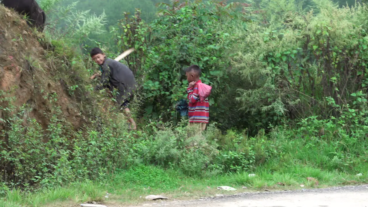 Kathmandu Nepal September 27 2019 Two Nepali boys herding water buffalo in the mountains around Kathmandu Nepal on September 27 2019