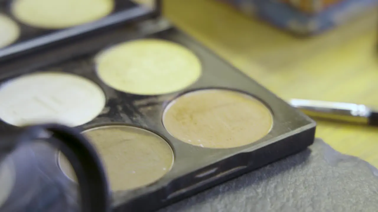 Makeup brush dipping into a cosmetic palette at the beauty salon