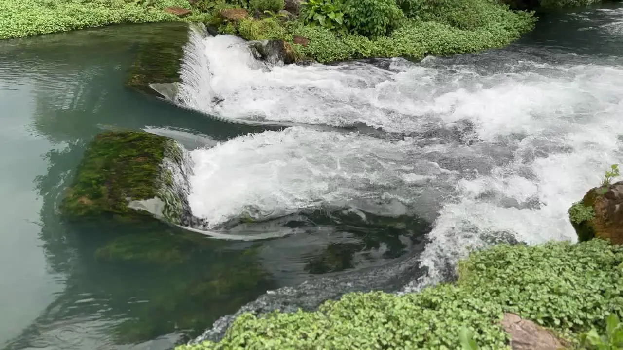 water rushing over green moss into a stream 4k 30fps