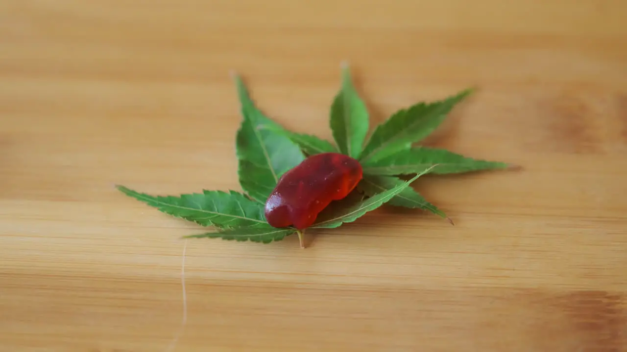 Slow Motion Hand Placing CBD Gummy Gently on Marijuana Leaf Wooden Tabletop