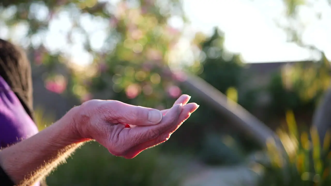 The hands of an old woman tossing a bunch of prescription drug pills into the air in slow motion