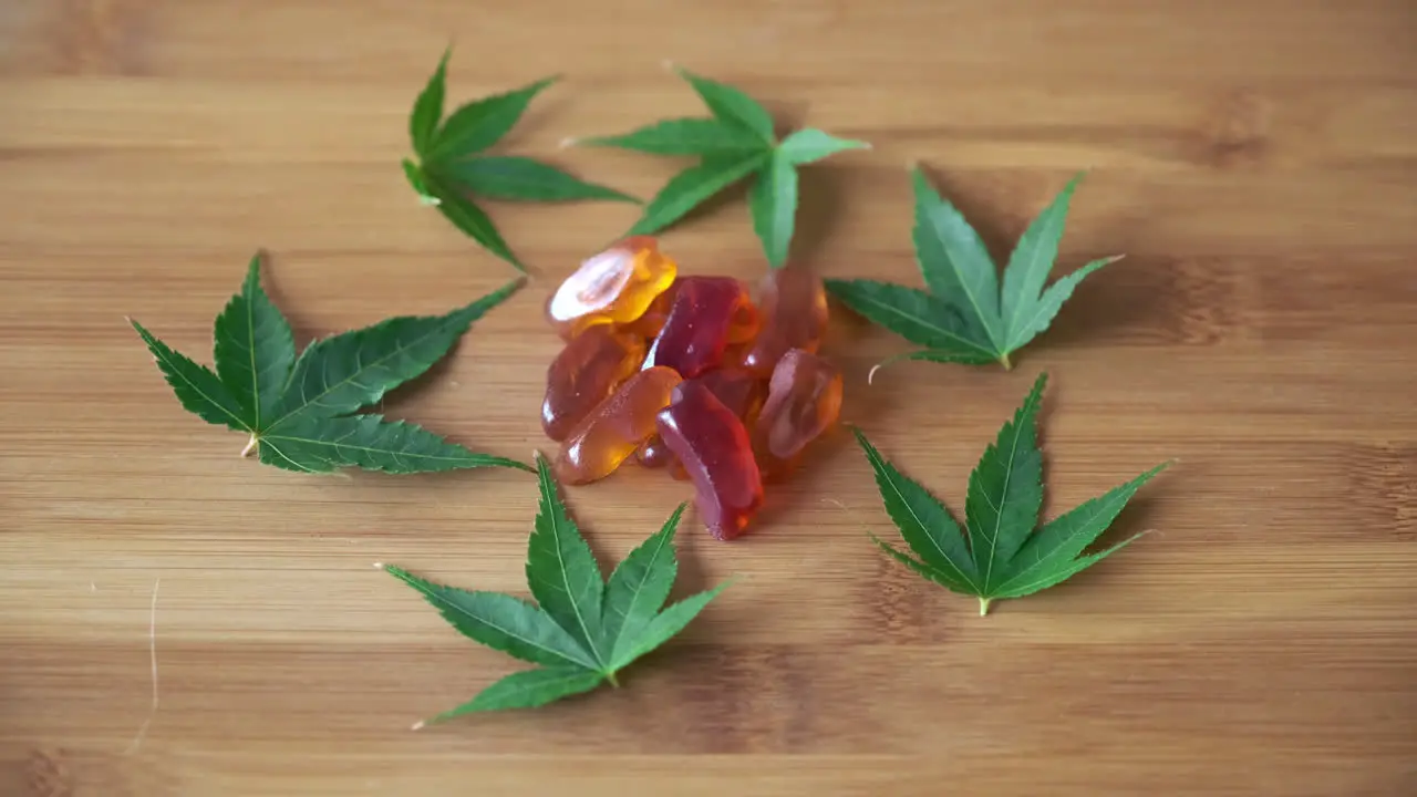 Push in to CBD Gummies in Pile Surrounded by Circle of Marijuana Leaves on Light Wood Tabletop