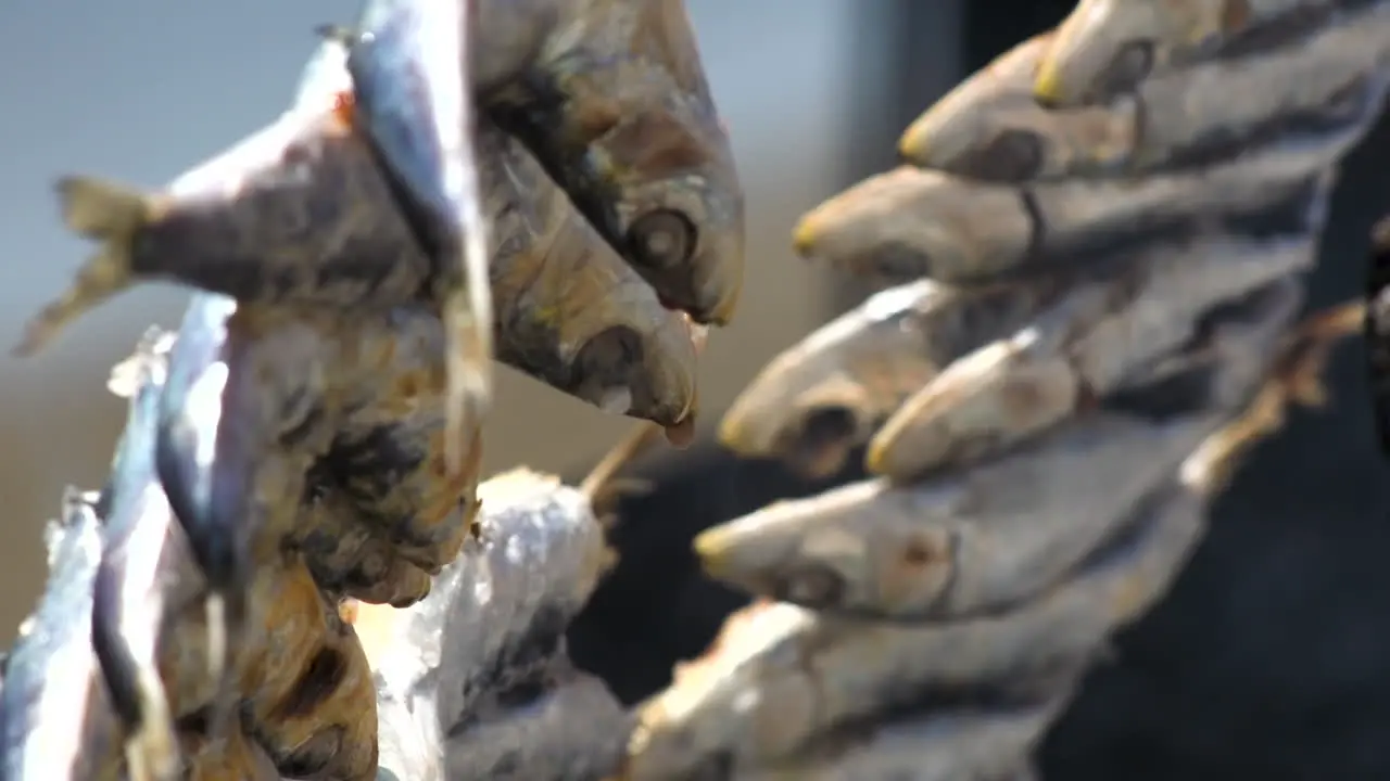 Sardines Fish Skewer Fire Grilled with Burning Firewood