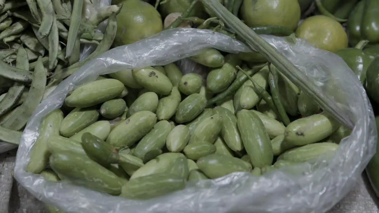 Ivy gourd or scarlet gourds green vegetables at vegetable store for sale at evening from tropical climate Indian Asian vegetables top view