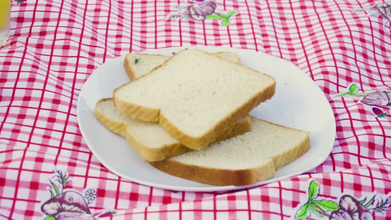 Hand put off in slow motion a couple of flies that landed in a bunch of slice bread outside in the morning camping in the nature