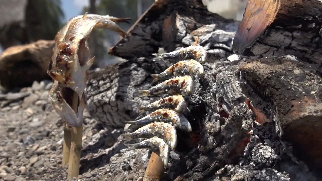 Slow Motion of Sardines Fish Skewer Fire Grilled with Burning Firewood