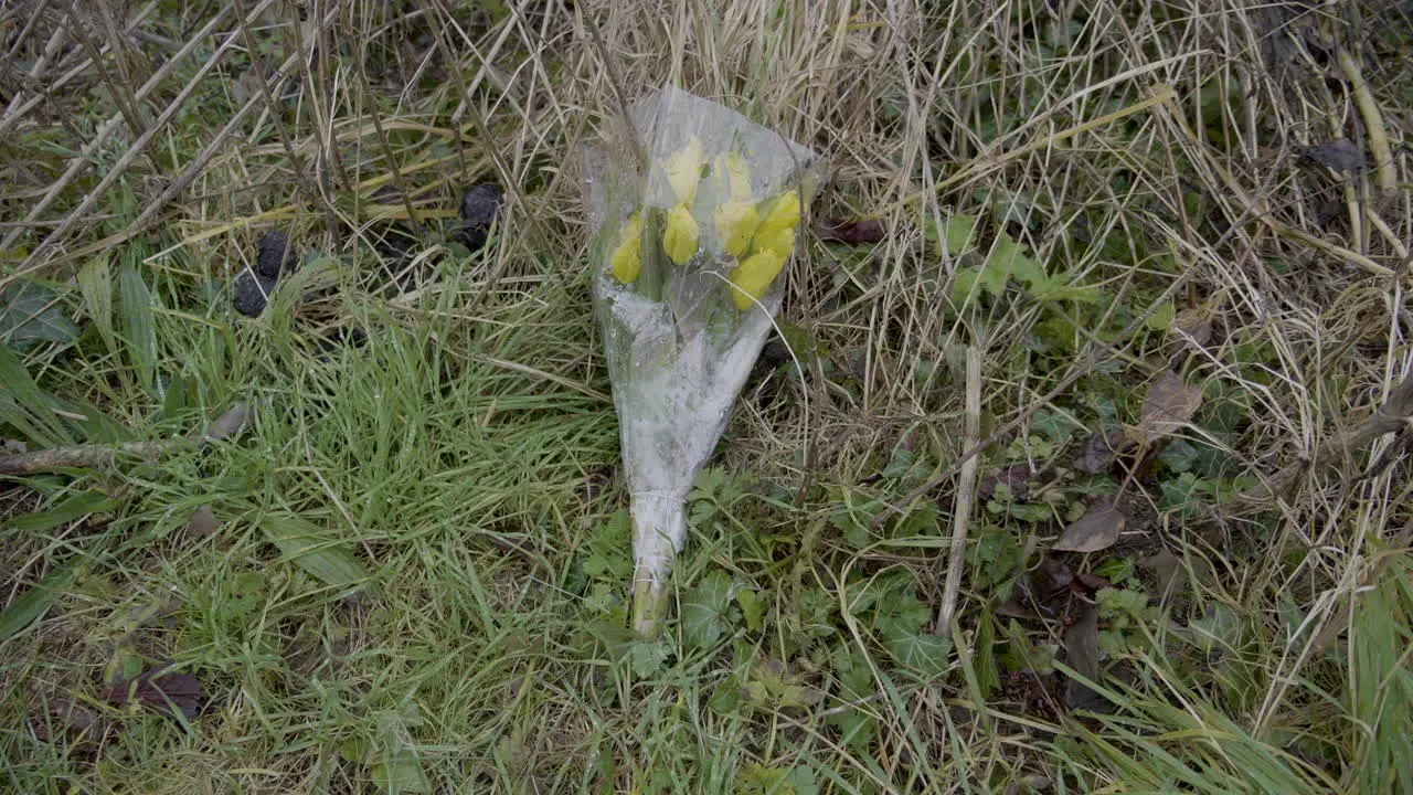 Yellow flowers laid down to remember a loved one